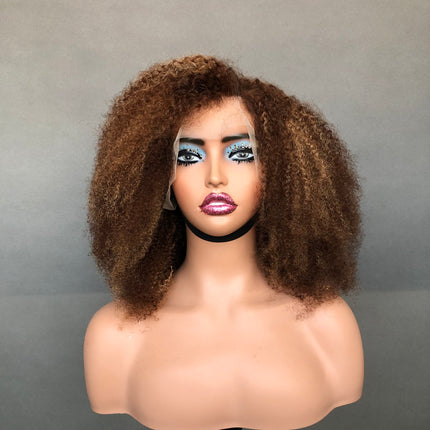 13x4 Lace Frontal Factory Wig Afro Kinky
