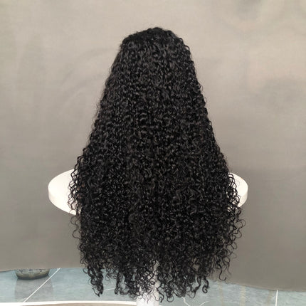 Popular 13x4 Lace Frontal Wig Factory Full Density Wig Pixie Curl